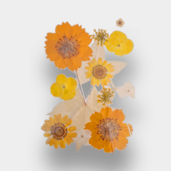 Pressed Mixed Flowers
