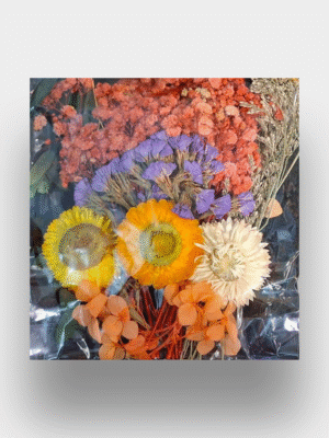 Pressed Flower & Foliage