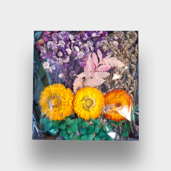 Mixed Dried Flowers and Leaf