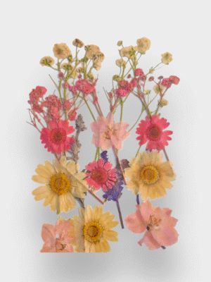 Pressed Garden Blooms