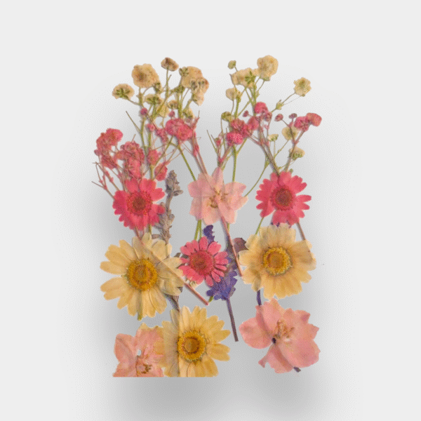 Pressed Garden Blooms
