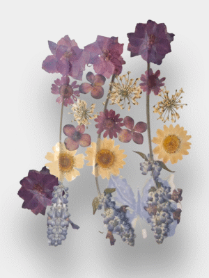 Pressed Flowers & Stem